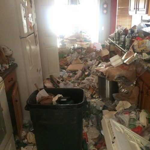 Hoarding Cleanups Services