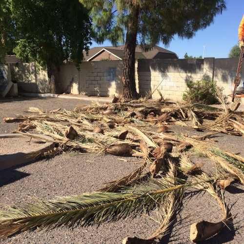 Strom Debris Removal Services