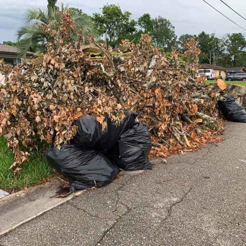 Top Storm Debris Removal in Phoenix, AZ