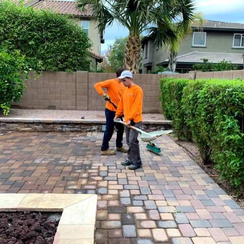 Top Yard Debris Removal in Youngtown, AZ