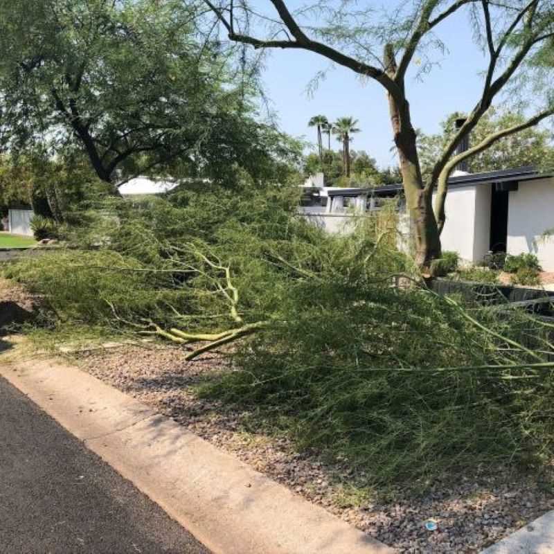 Storm Debris Removal Tucson Az Results 3