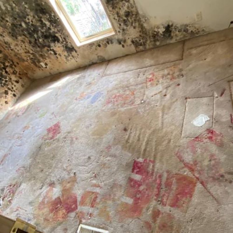 1 for Foreclosure Cleanout in Tempe, AZ with Over 1200 5Star Reviews!