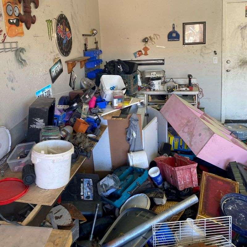 Hoarding Cleanup Gilbert Az Results 2