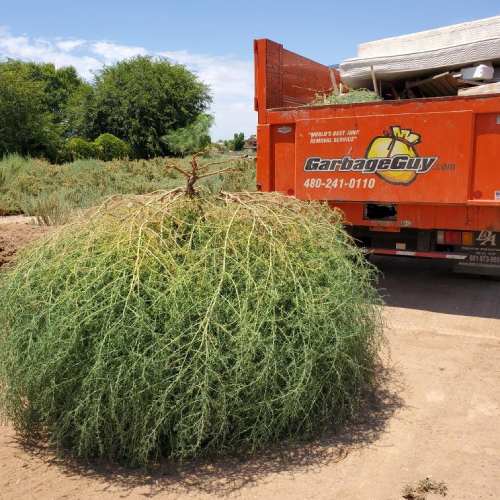 Landscaping Removal Dumpster Services